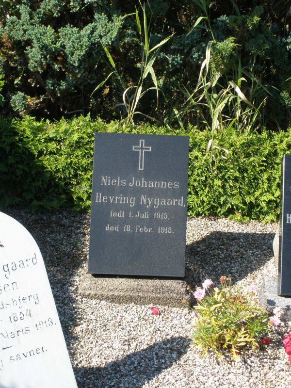 Niels Johannes Hevring Nygaard2.jpg